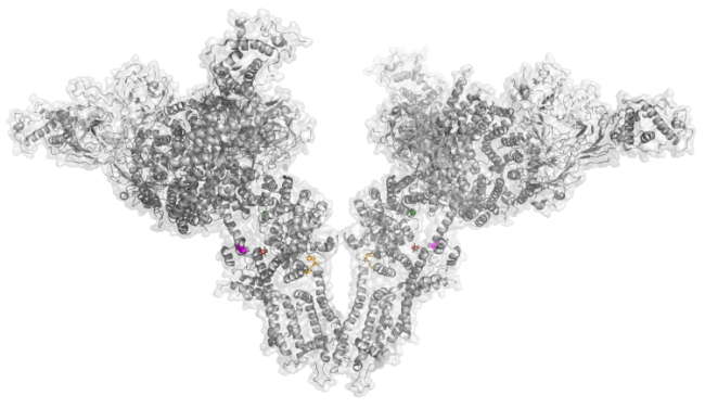 Modulators of ryanodine receptor 2to treat disease