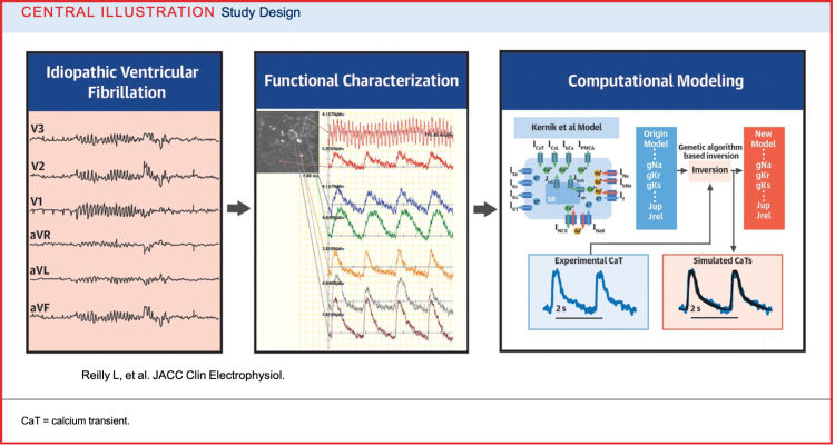 A scientific diagram