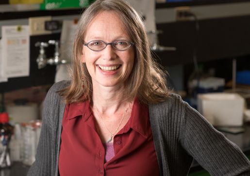 Rozalyn Anderson, PhD